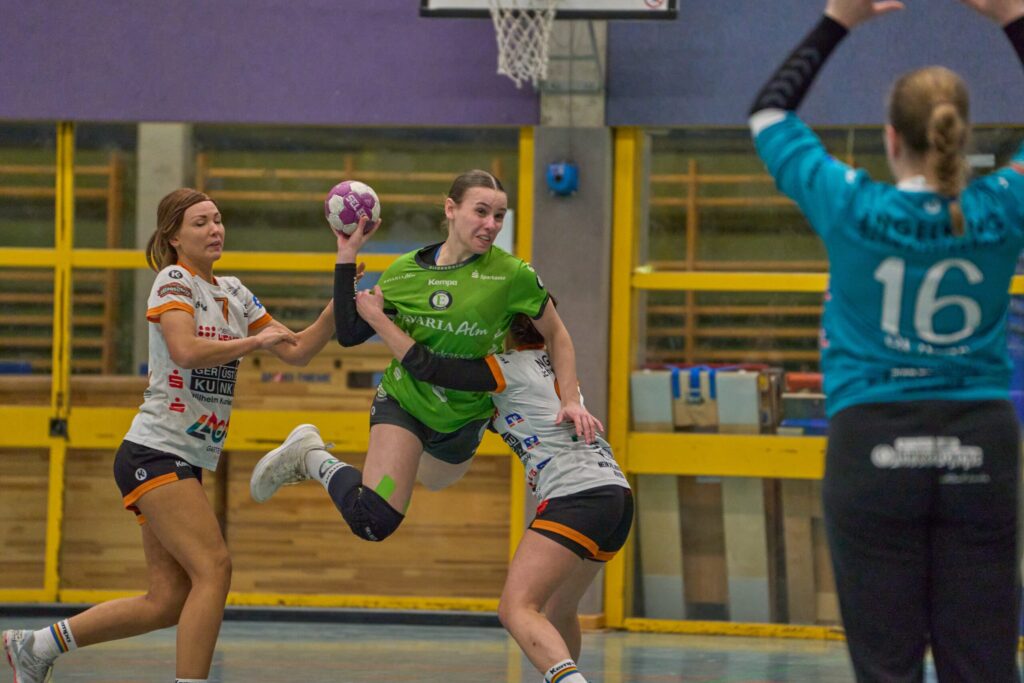 Handball-Impression des HC Eintracht Hildesheim